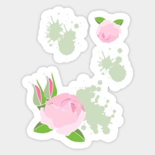 Pretty painted roses in pink Sticker